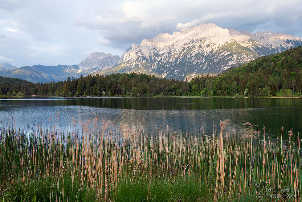 Lautersee