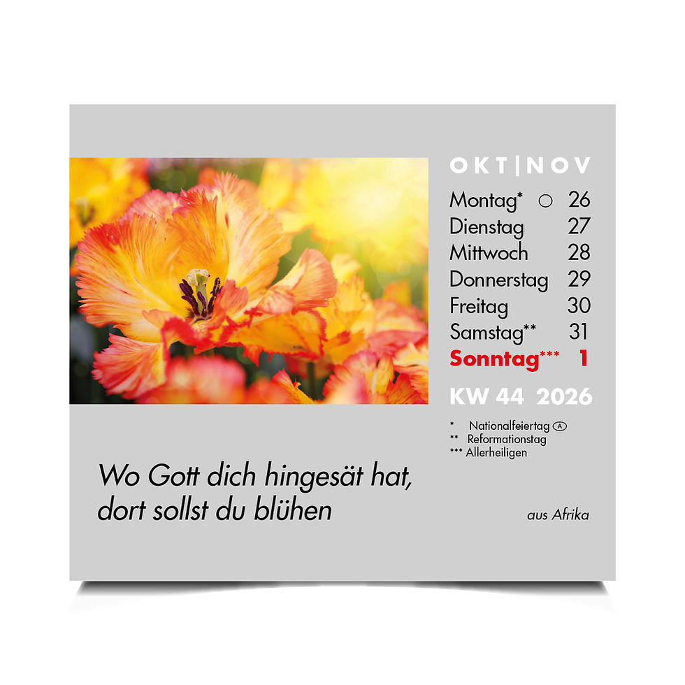 Miniaturbild: Mini-Wochenspruch-Kalender 2026