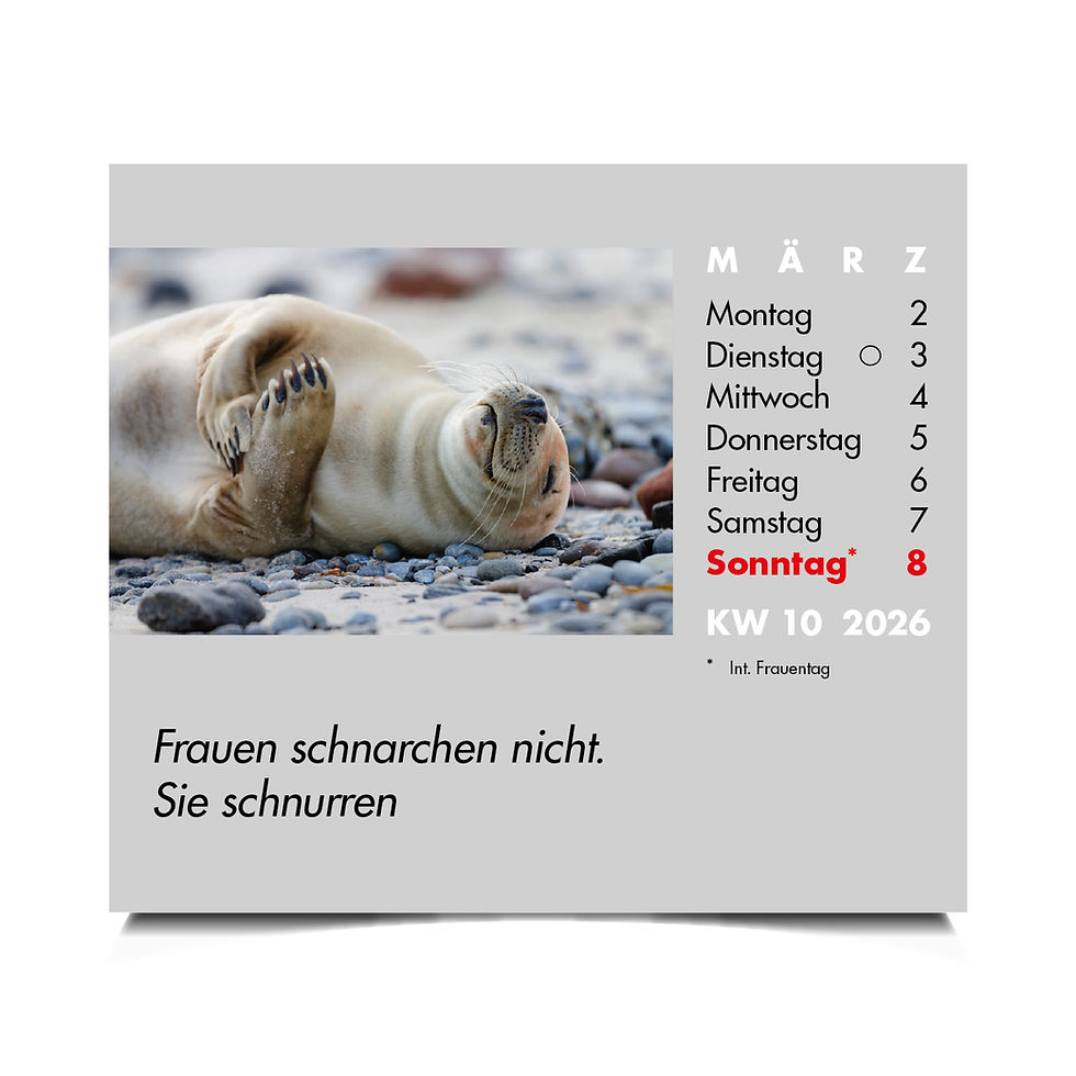 Miniaturbild: Mini-Wochenspruch-Kalender 2026