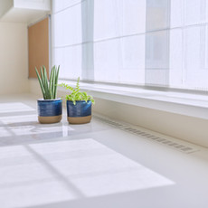 Roman Blinds Roller Blinds