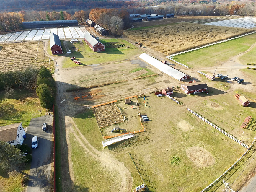 DJI_0031.webp