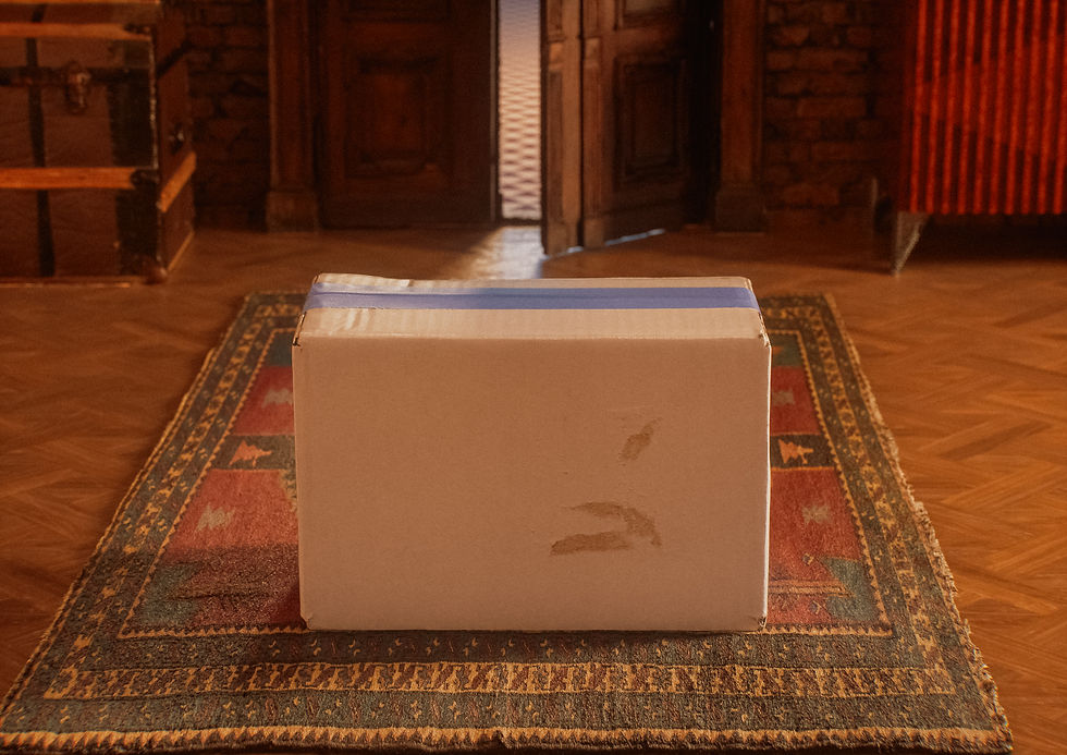 AMON & SIRIUS scatola sul tappeto di casa