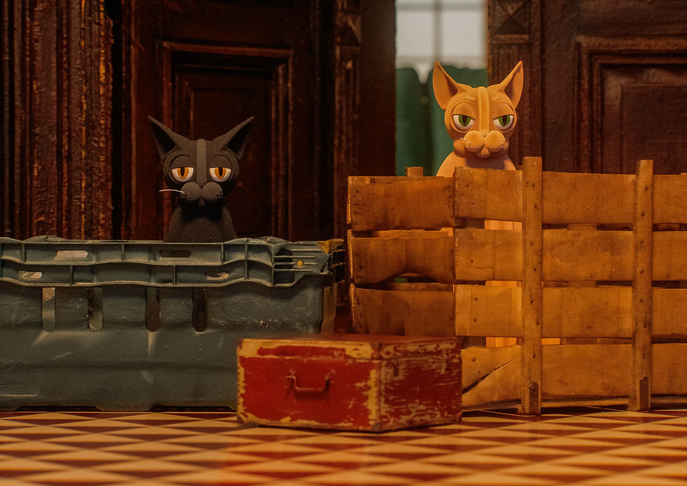 AMON & SIRIUS nelle scatole