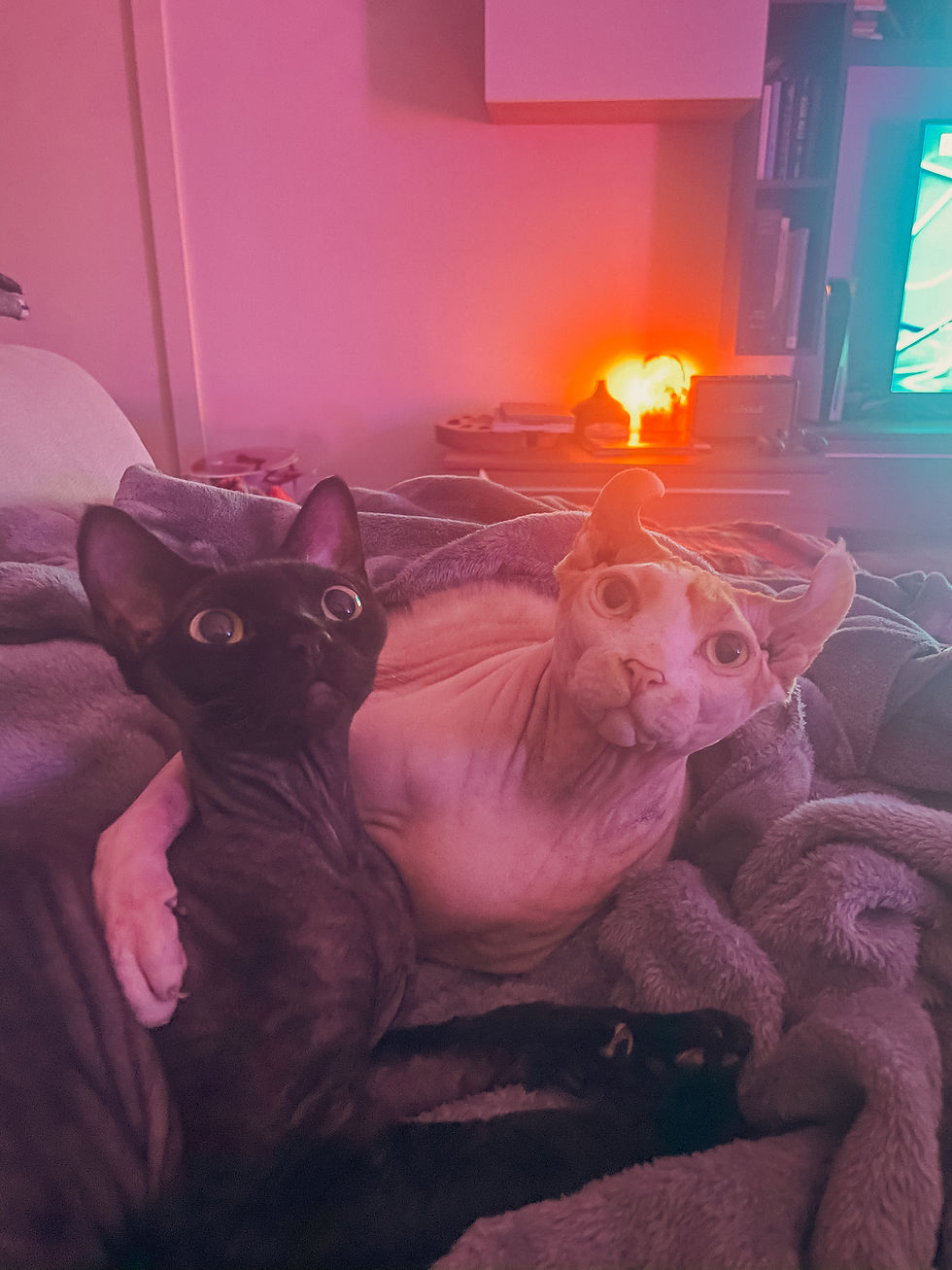 AMON & SIRIUS nella vita reale