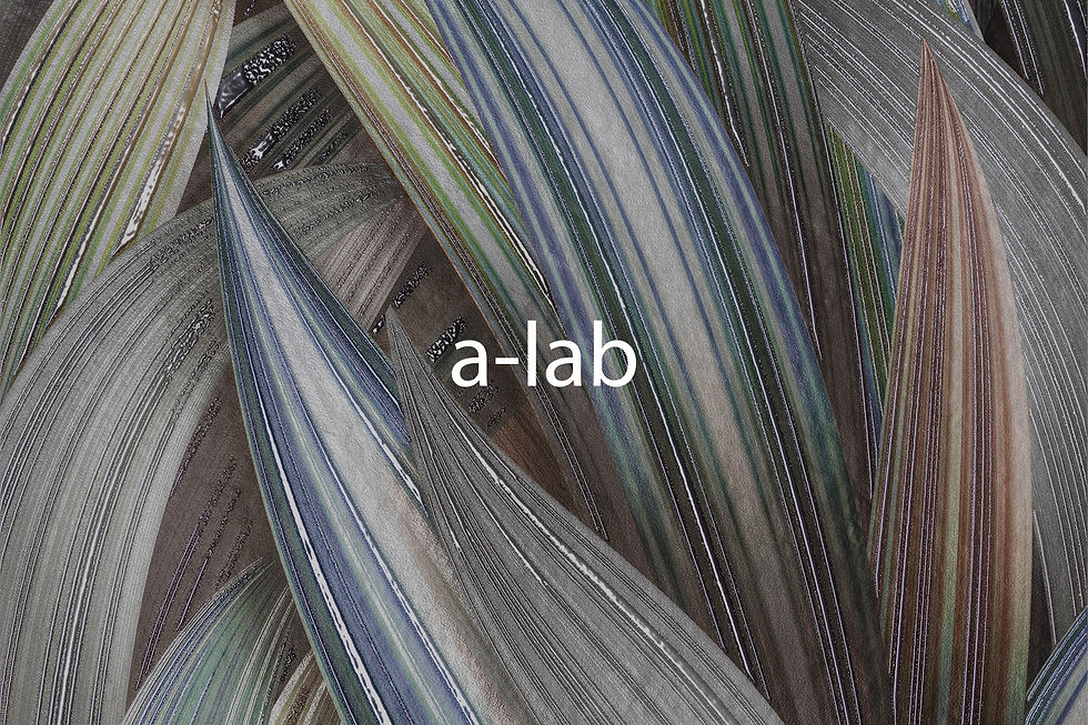 a-lab.jpg