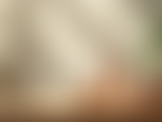 化粧品業界のトレンドを探る