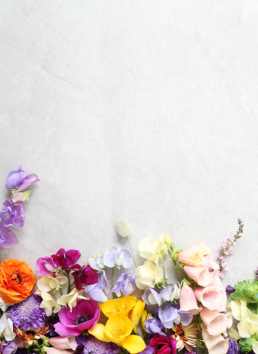 1) Intro Cover   (1).png