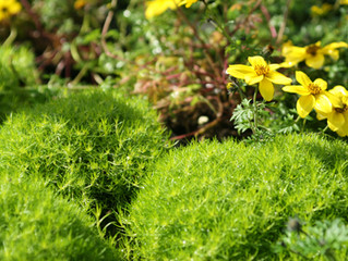 Season of Décor – 4 easy tips to get ready for Spring and Summer.