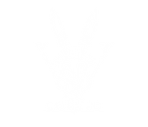 casa conejo wix.png