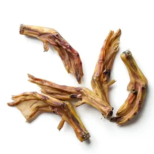 duckfeet2_1024x.webp