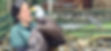 Screenshot 2025-04-20 at 12.42_edited.jpg