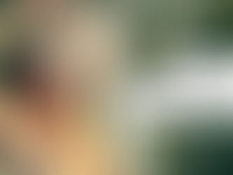 Bienvenida al ritual de cierre e inicio de año