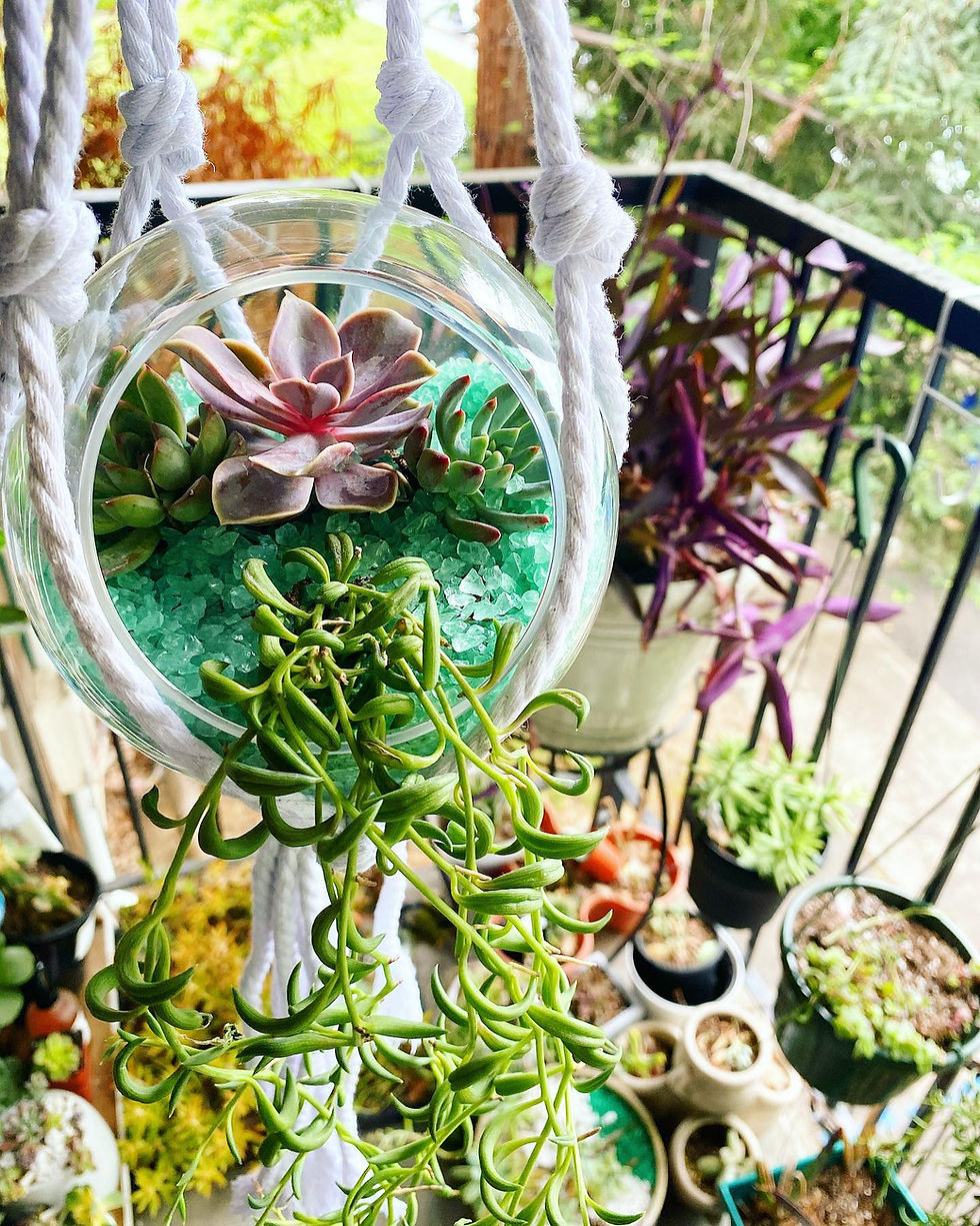 Thumbnail: Custom Hanging Pots
