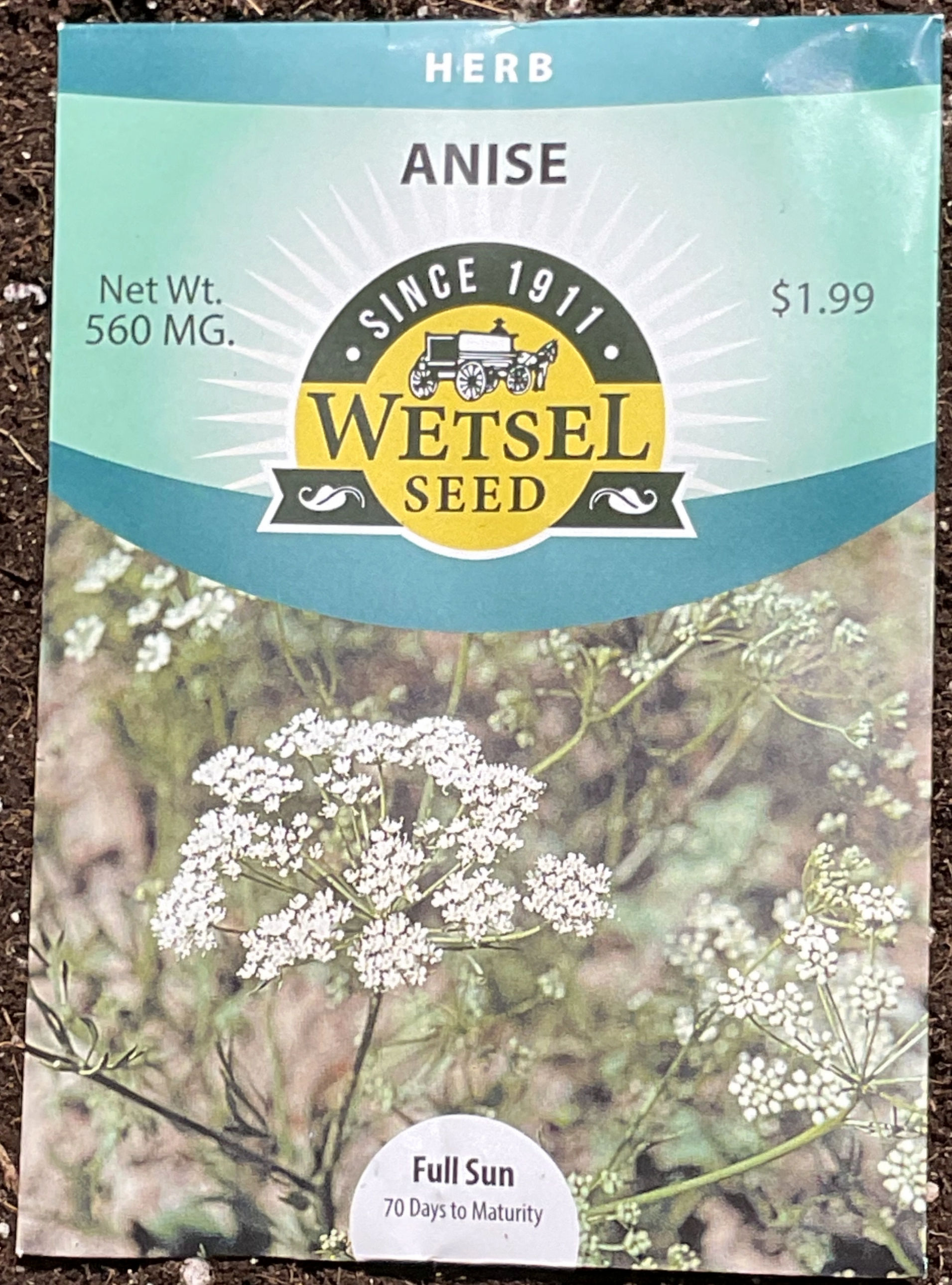 Anise seeds-Herb