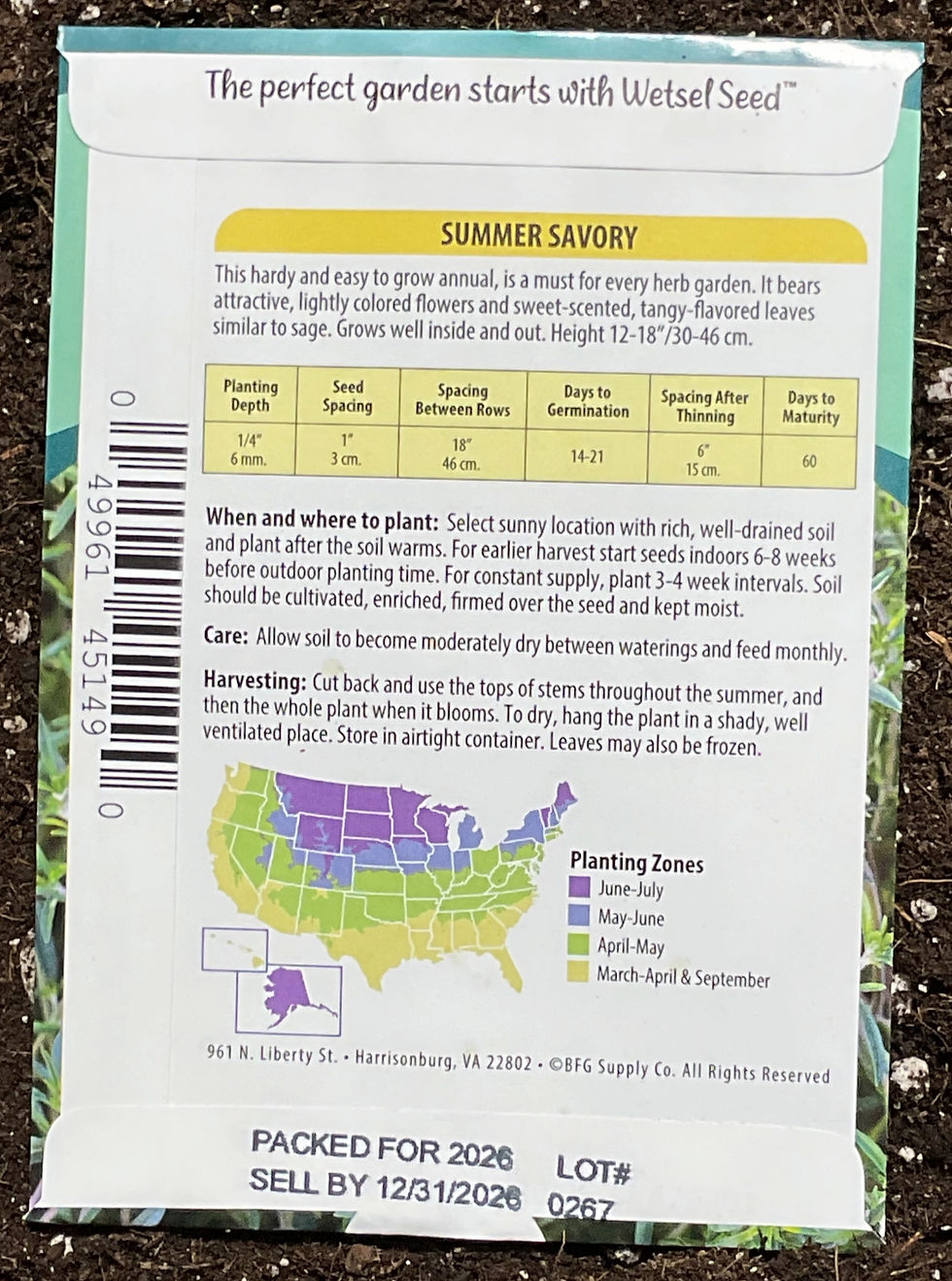 Thumbnail: Summer Savory seeds-Herb