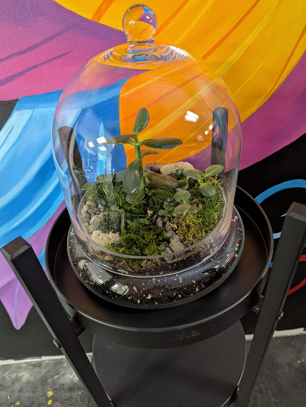Thumbnail: Syndicate Home & Garden® Glass Cloche