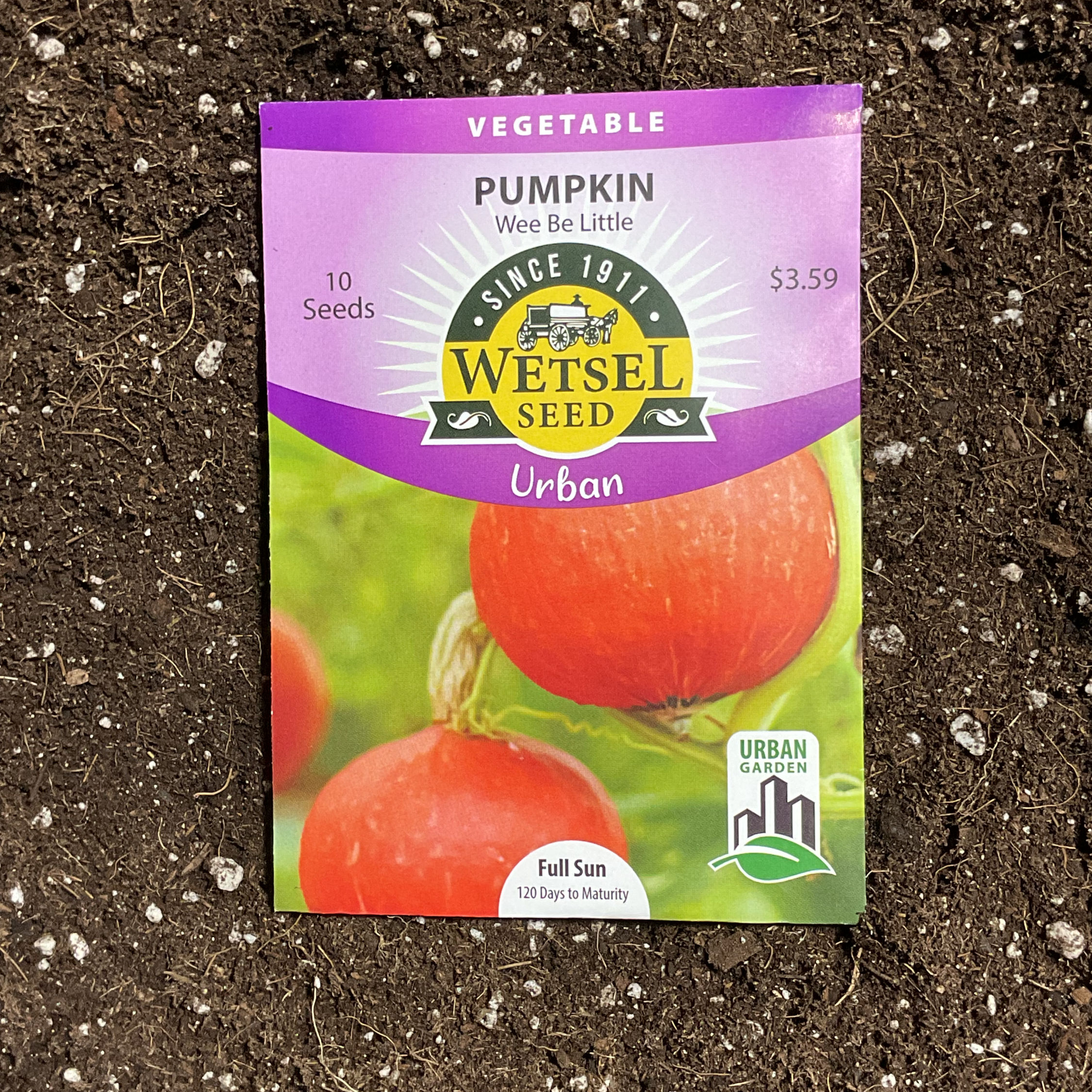 Pumpkin seeds-Urban