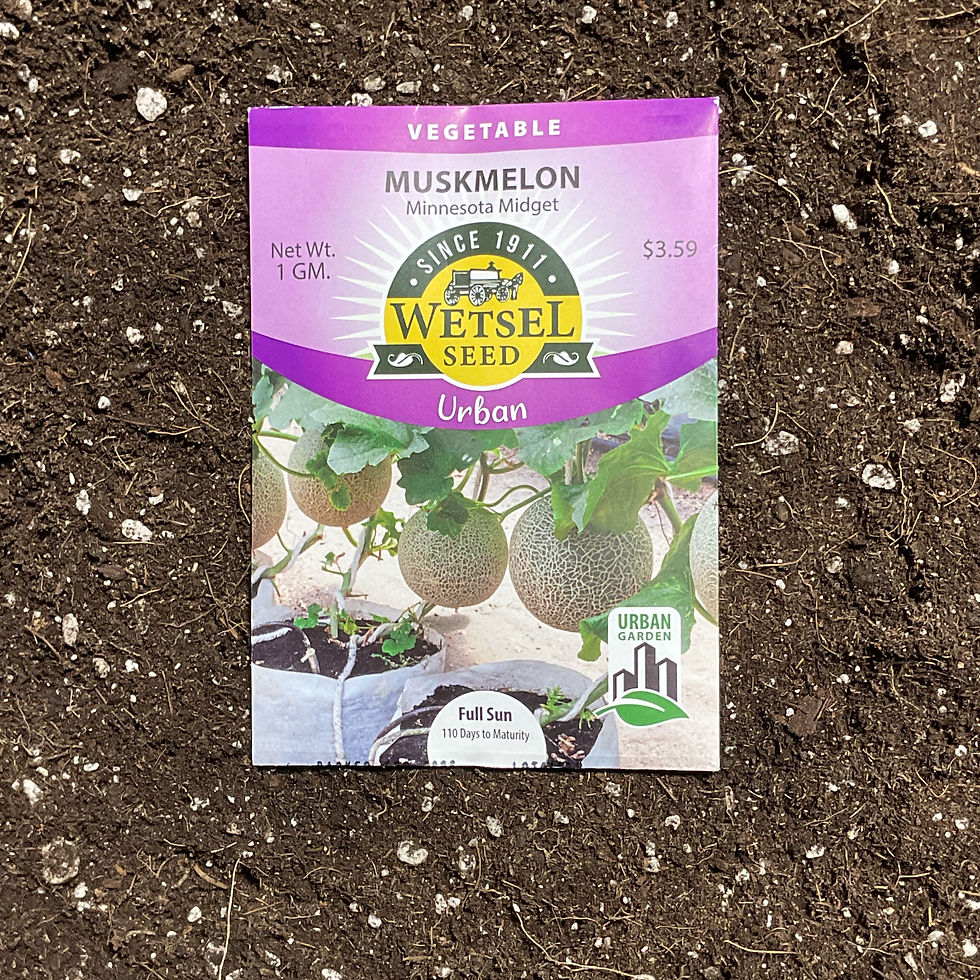 Thumbnail: Melon Seeds-Urban