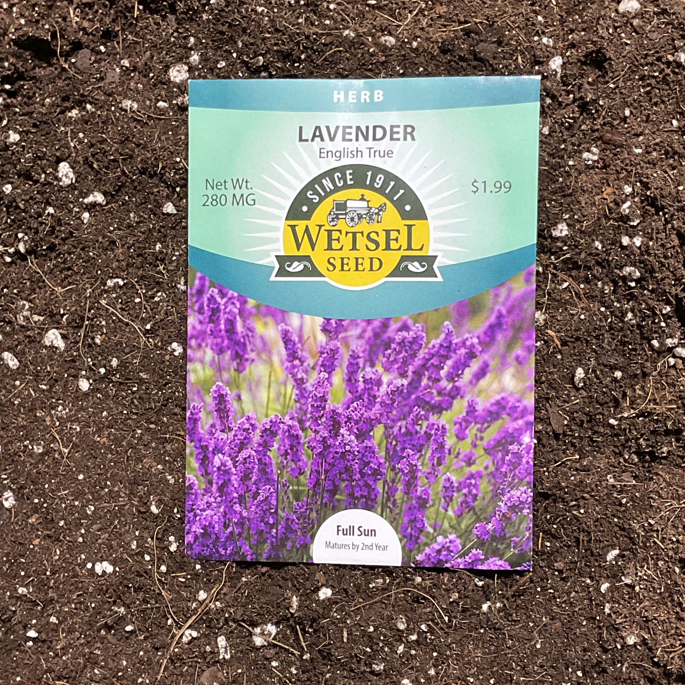 Lavender seeds-Herb