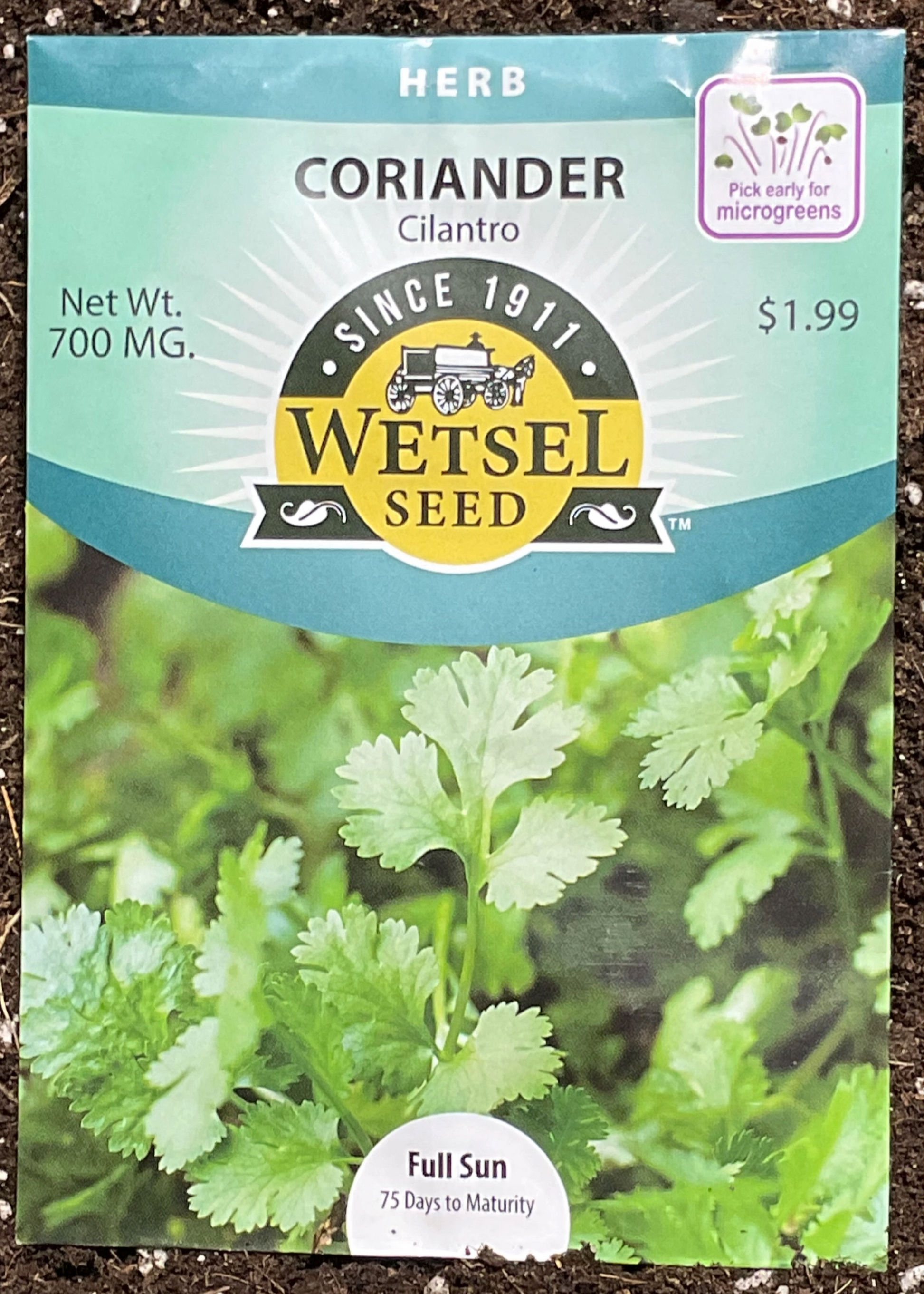 Coriander seeds-Herb