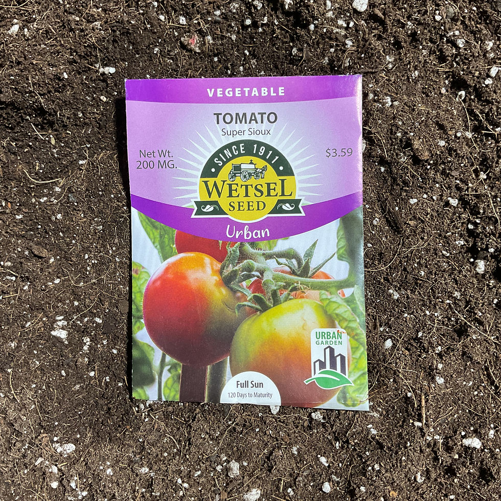 Thumbnail: Tomato seeds-Urban