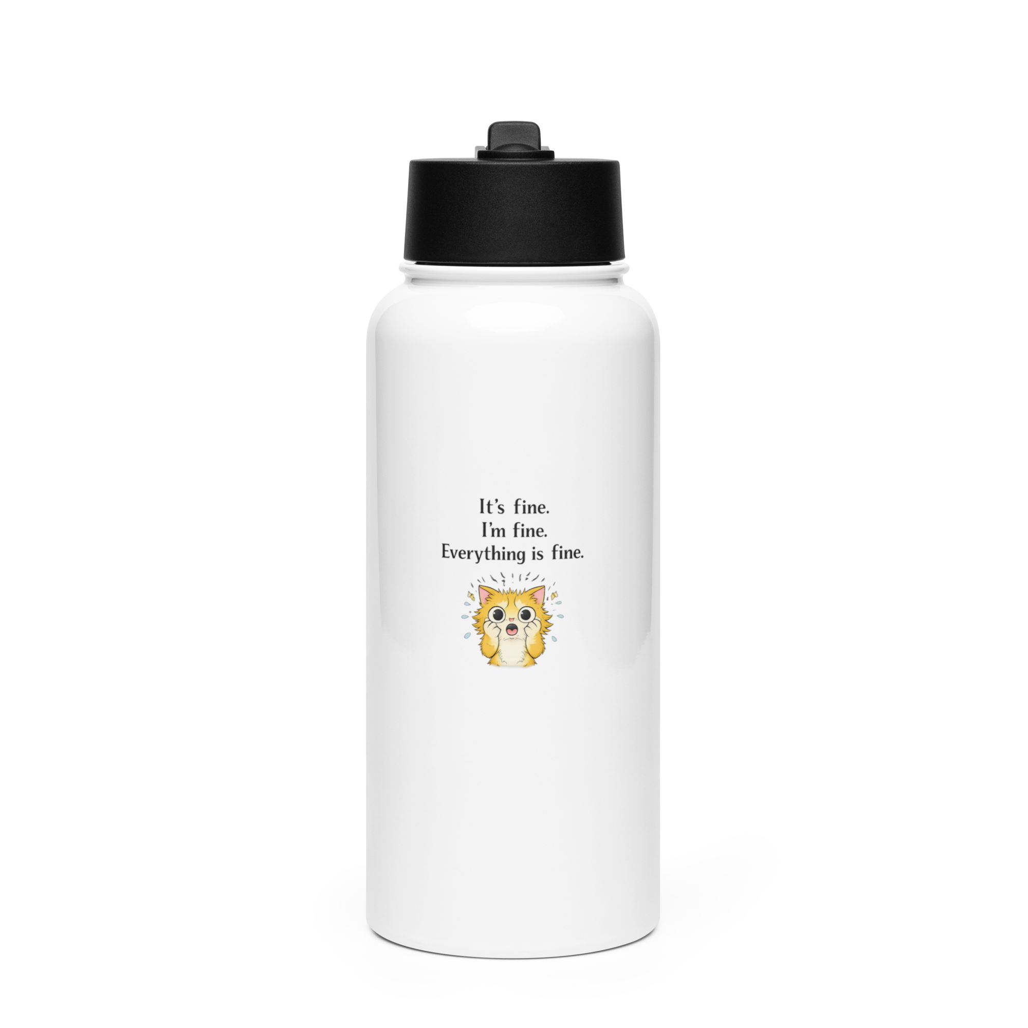 Stainless Steel Water Bottle with a Straw Lid