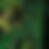Thumbnail: Detail of green preserved moss wall