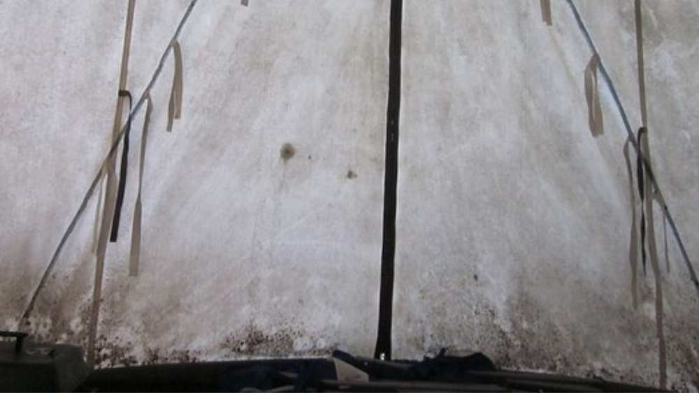 How to Remove Mold from Canvas Tent?