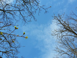 20160501_143853