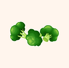 4.png