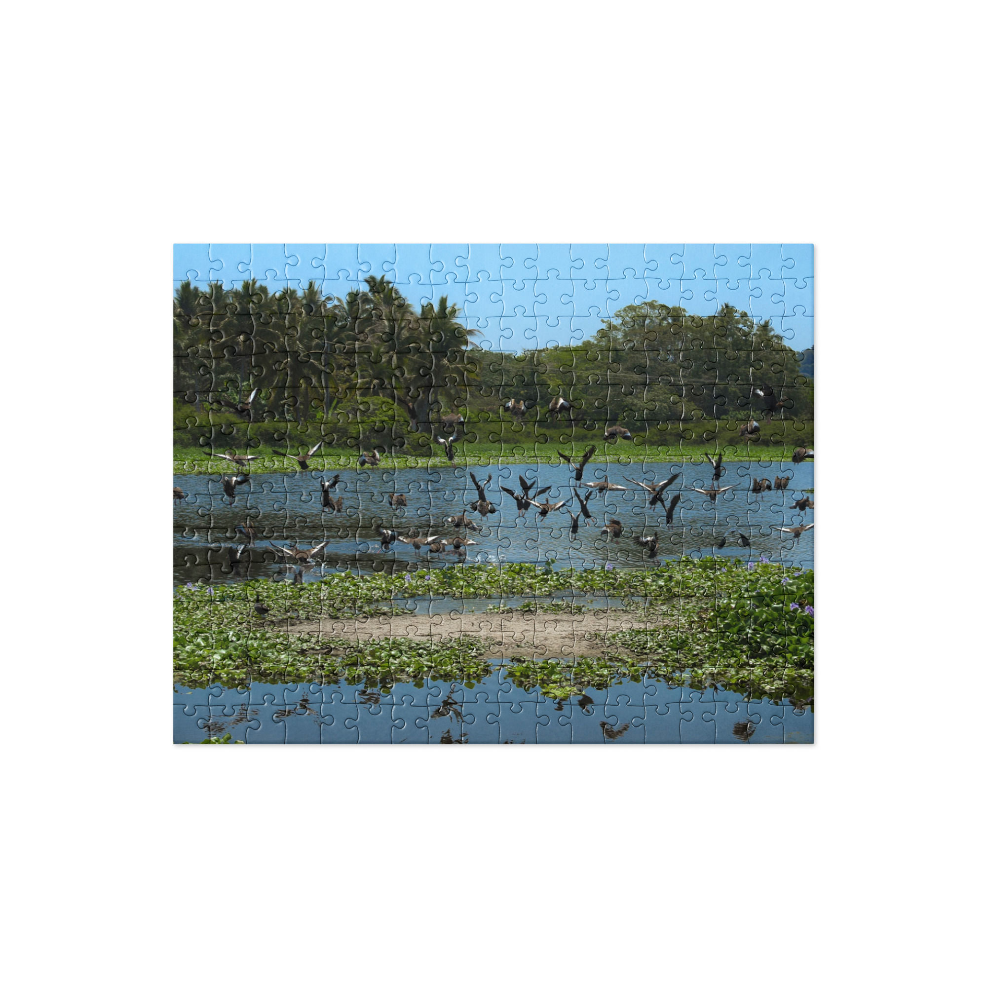 San Pancho Puzzle