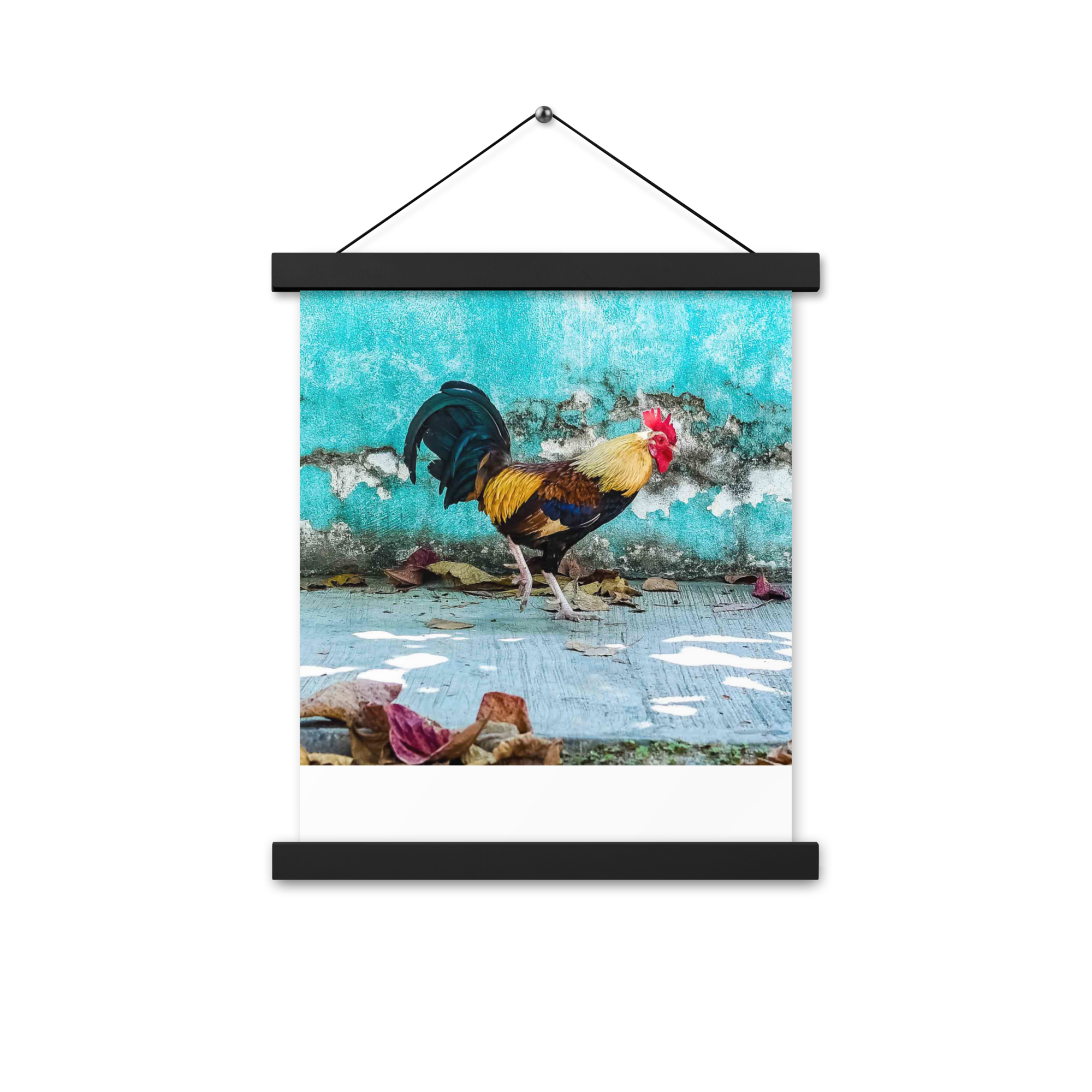 Poster El Gallo San Pancho