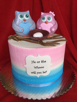 Whoo Will You Be Owls