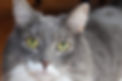 a722f509-15a5-4320-95ac-bfbc2fb33da1.jpg