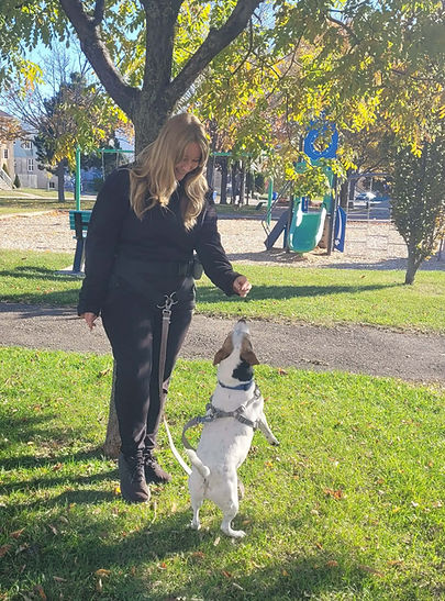 Dogwalker