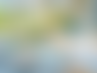 비아그라와 함께하는 성적 파워 회복