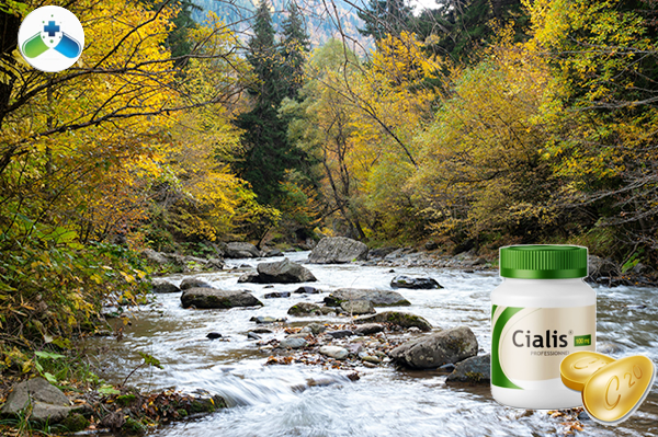 시알리스 구매 디시, 부부관계의 온도를 높이는 현실적인 해답