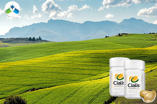 시알리스 추천, 고요 속에서 우리는 가까웠습니다