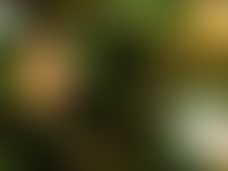 시알리스 20mg 복용법, 당신의 선택이 관계를 바꾸는 순간