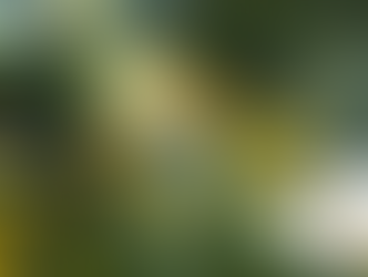 시알리스정5MG, 비아그라구매사이트와 함께하는 따뜻한 동행