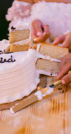 Wedding in Lyons NY cake cutting and celebrating the night away