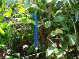 Tubo Mata Broca (TMBroca)