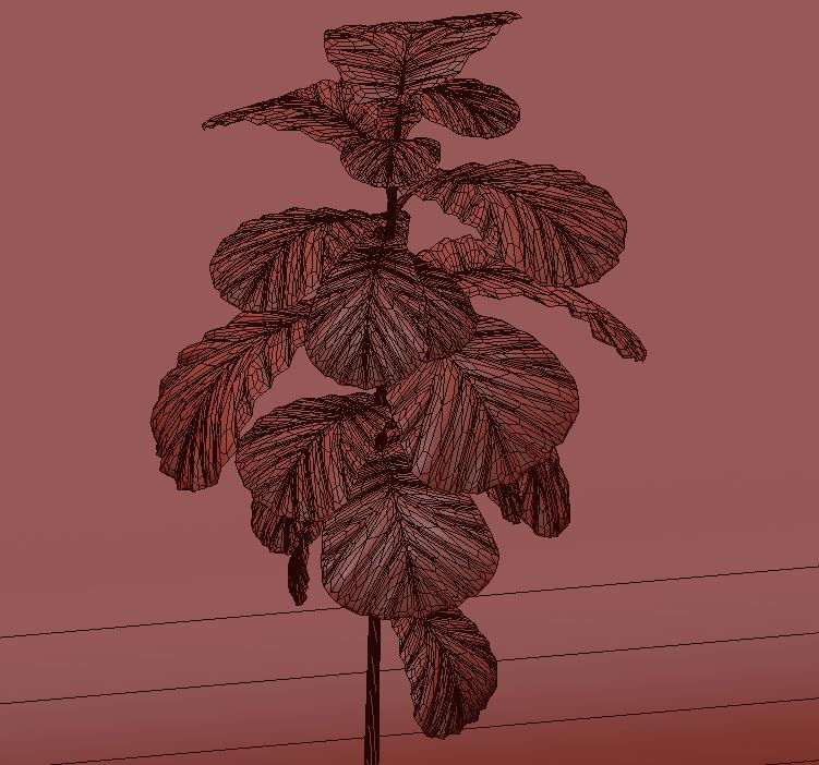 Thumbnail: 3d Model Potted Fig Tree