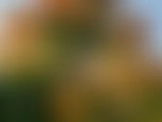 It’s OK NOT to be okay!