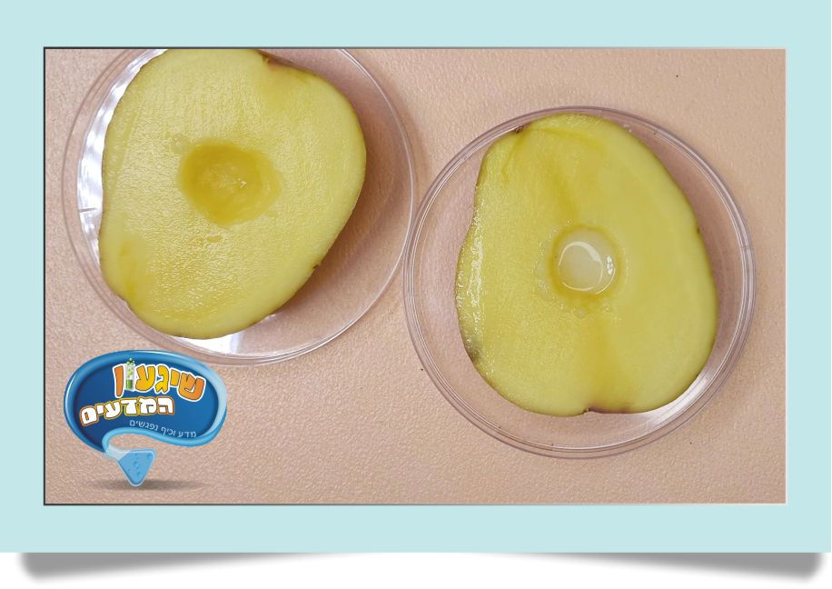 נחורר את העיגולים של הכוכבים