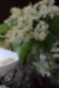 A small bouquet of blooming elderflowers arranged in a glass bottle on a rustic wooden table, with soft natural light creating a cozy and nostalgic countryside atmosphere.
