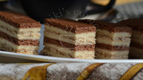 Layered Cocoa & Vanilla Squares