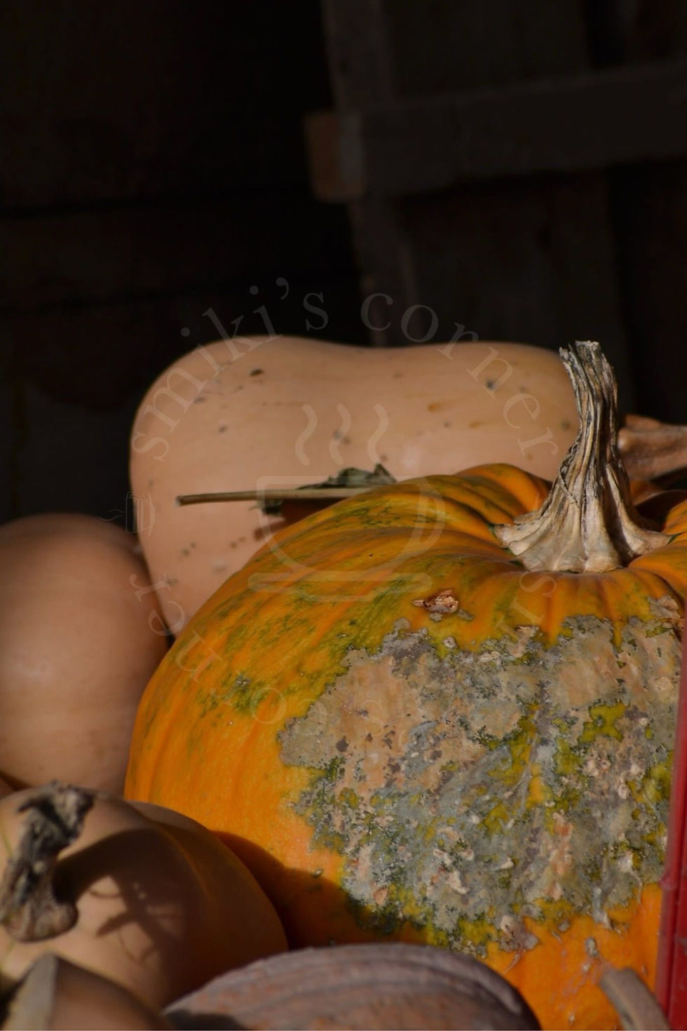 The Last Autumn Together