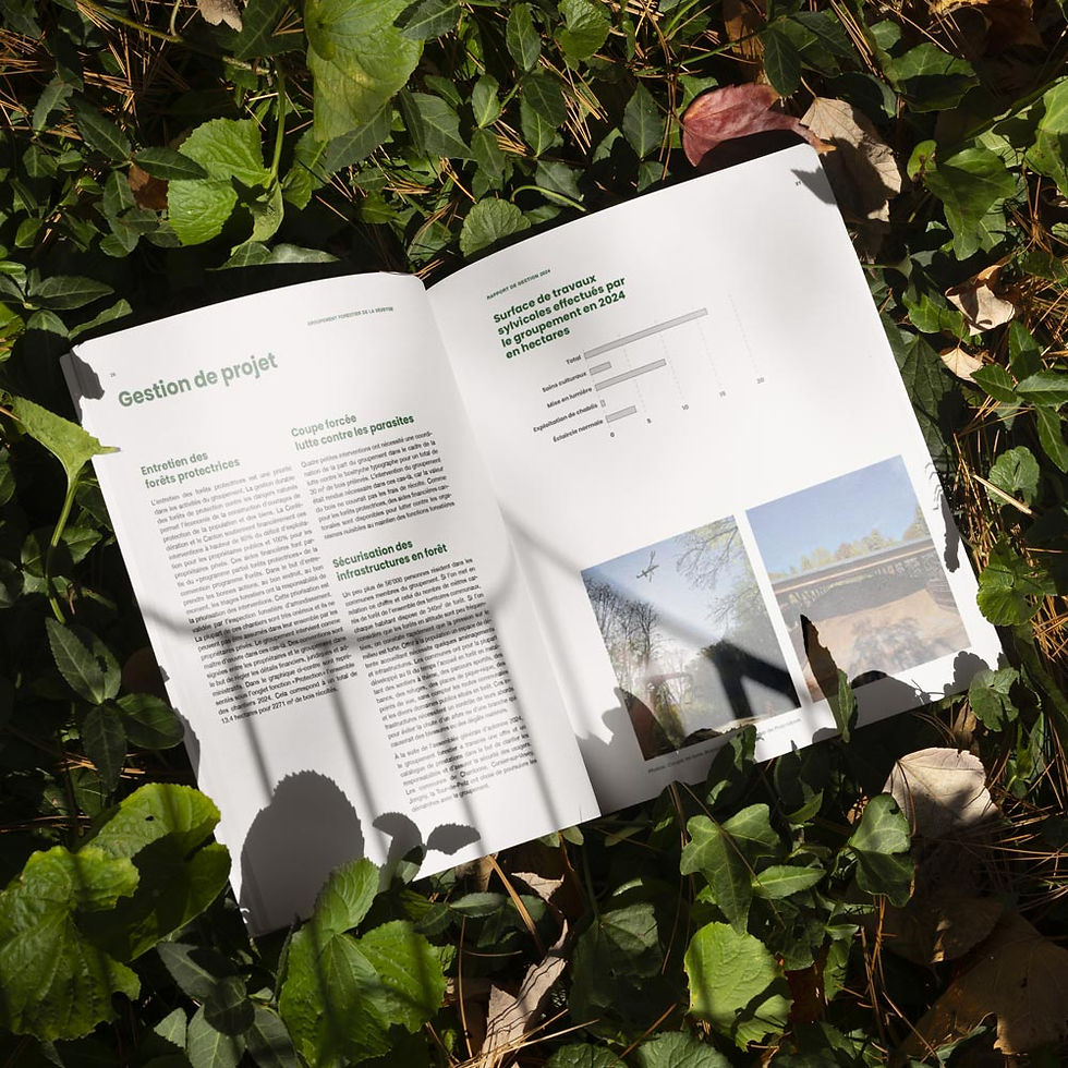 Rapport de gestion 2024