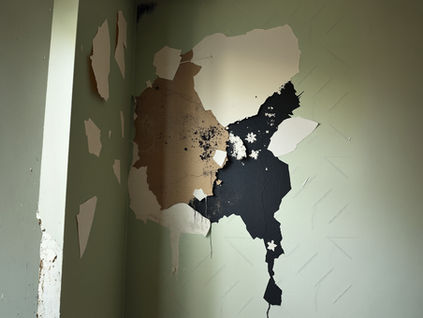 Do You Need a Damp Survey? 5 Red Flags That Say Yes